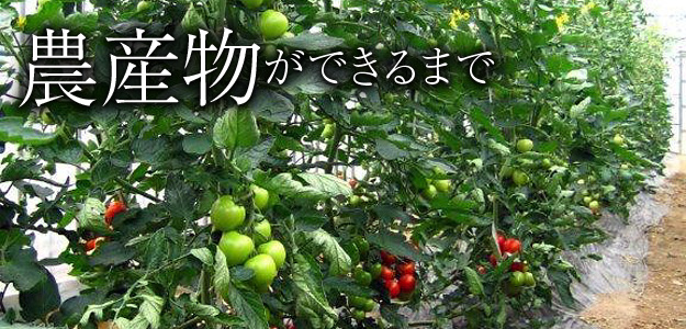 農産物ができるまで