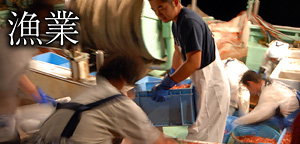 漁業