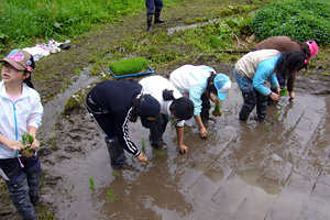いしかわ自然学校