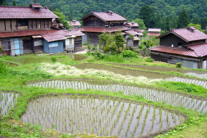 いしかわ自然学校