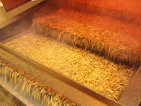 株式会社 丸八製茶場