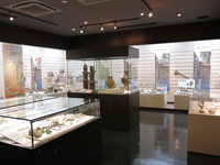 埋蔵文化財センター