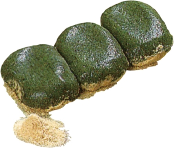 栢野大杉 草だんご