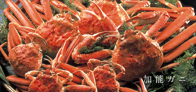 加能ガニ